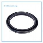 Seals PTFE Step Seal SPNS PTFE Rod Seal