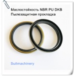 Oil Resistance OEM Service Provided NBR PU DKB dust seal